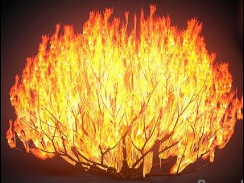 3/6 NUIT DE MIRACLES 17 NOV. 2024