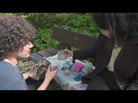 Kiesgroup - Waldmorgen