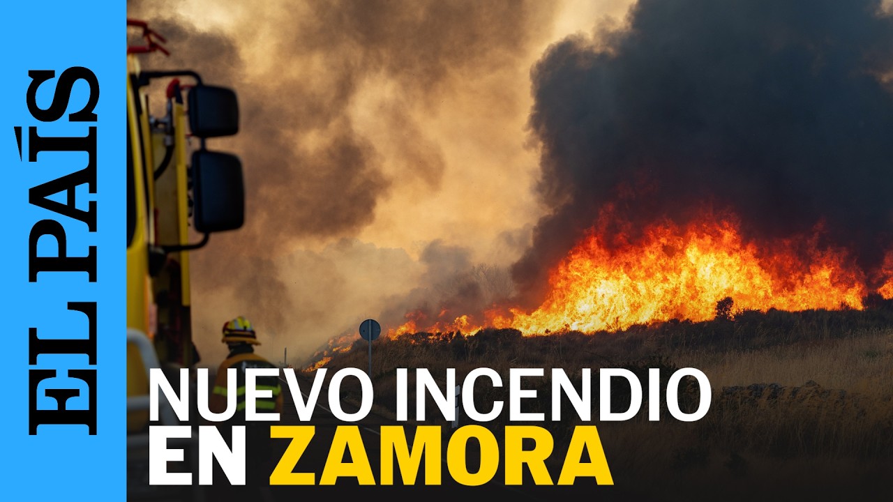 INCENDIO ZAMORA | Declarado INCENDIO de NIVEL 2 en ZAMORA | EL PAÍS