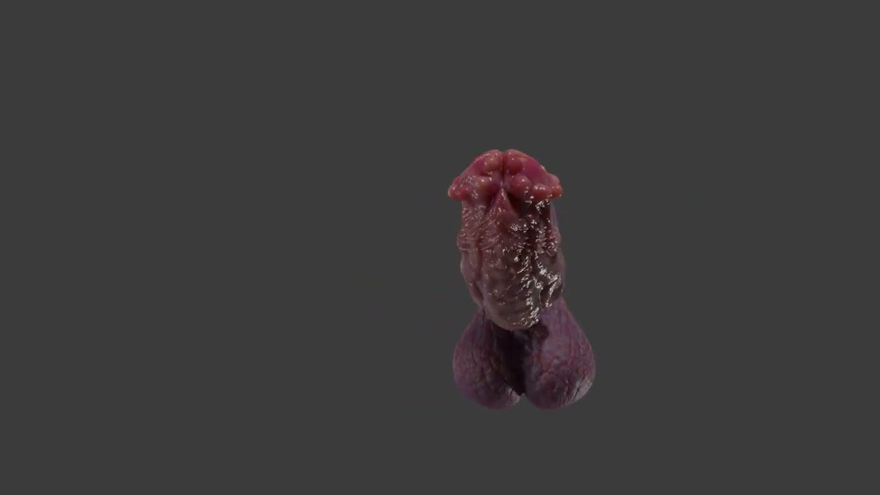 Fantasy Groknir Dragon Penis Rigged 3D Model