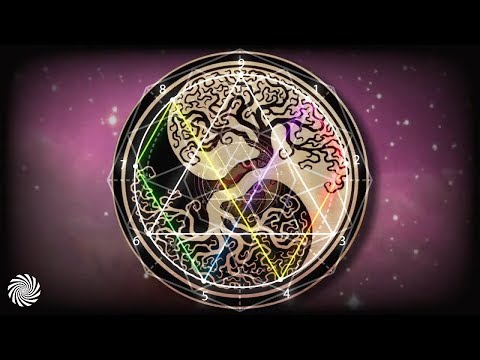 Tropical Bleyage - Nine