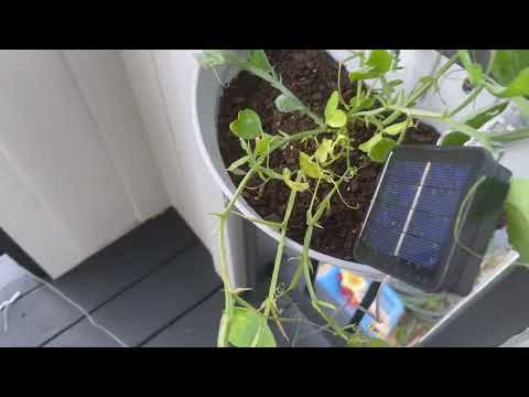 LED Solar Net Outdoor Lights