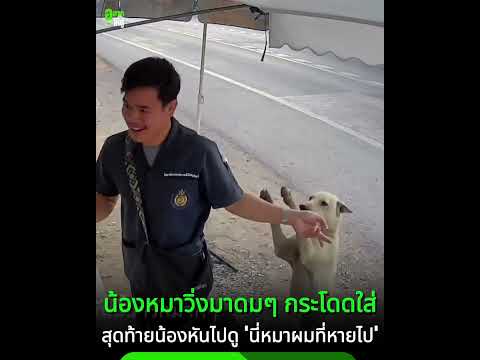เห็นแล้วน้ำตาซึม น้องหมาหายออกจากบ้านไป 2 อาทิตย์ สุดท้ายก็ได้เจอกัน