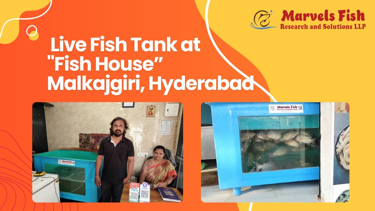 Fish House Hyderabad