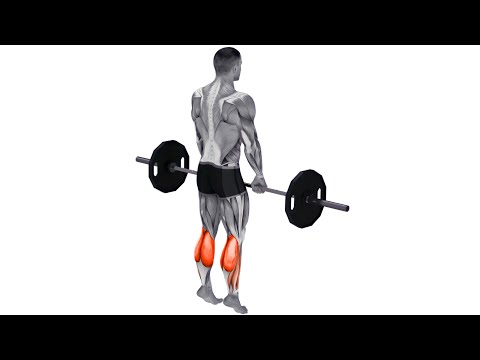 HOW TO THICKEN THIN CALVES