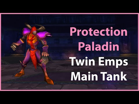 Prot Paladin Twin Emps Vek'lor (Physical Tank)