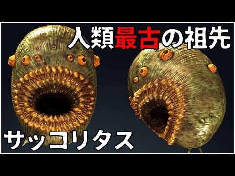 IUCN分類における絶滅の危険性を示す図。