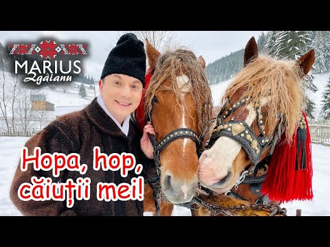 Marius Zgâianu - Hopa, hop, căiuții mei!