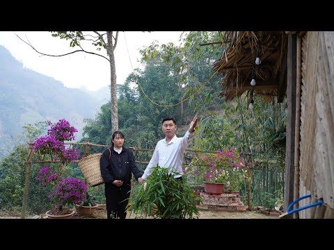 CEO Tuan gifted his old house to Tu Man, a single mother who is three months pregnant.