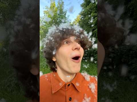 Тополиный пух