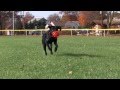 SSD Harlem Fetch With Gopro Fetch Mount