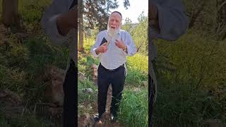 פרשת שמיני - הקדושה מחייבת
