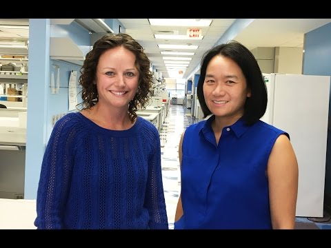 Scientists find persistent infections in mice exhaust progenitors of blood cells