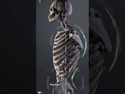 video ECgWuqihykA