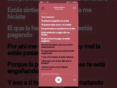TE PINTARON PAJARITOS (YANDAR & YOSTIN, ANDY RIVERA) LETRA