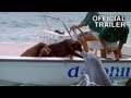 Documentary Nature - Dolphins