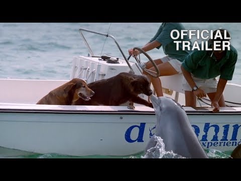 Dolphins