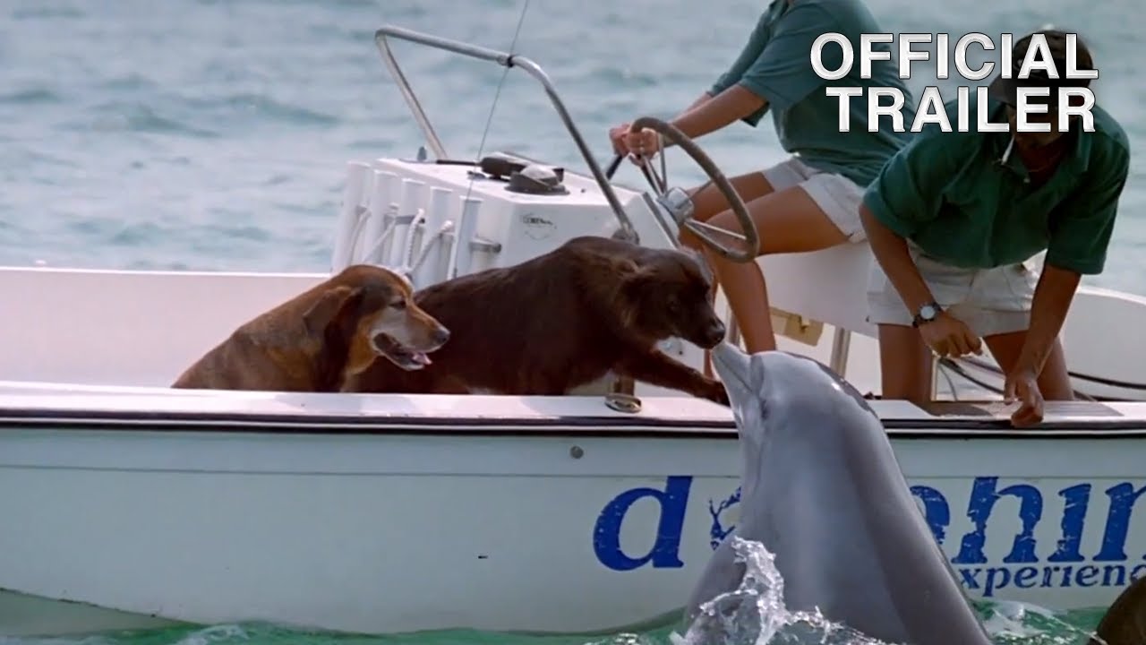 Dolphins