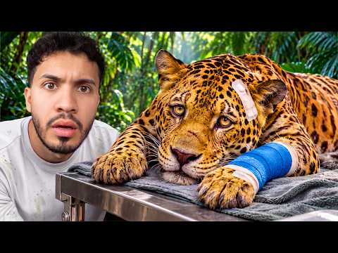 Así rescatan los ANIMALES más SALVAJES en COSTA RICA 🇨🇷