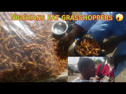Meet Nigeria grasshopper seller who makes 20 to 30 thousand Nigeria daily/Grasshoppers |D Hustle