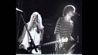 Sonic Youth - In The Mind Of The Bourgeois Reader