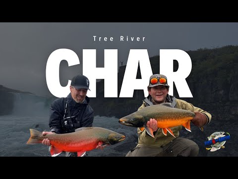 Arctic Char - Fishing In The Canadian Arctic