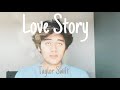 love story (cover)