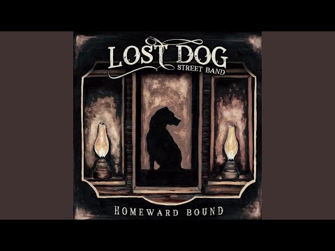 Sleepin Tight - Lost Dog Street Band