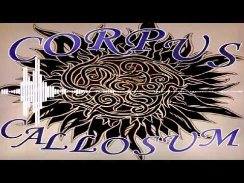 KnochenMarkSäge - Corpus Callosum