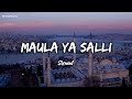 Maula ya salli | Slowed | Mohammed al hisayan | Vocals only | Eyonyx |