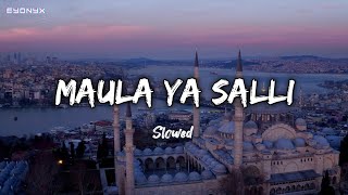 Maula ya salli | Slowed | Mohammed al hisayan | Vocals only | Eyonyx |