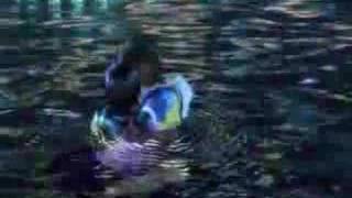 FFX Over My Head Better Off Dead