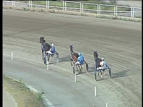 Trotto 10/06/2017 - 2ª prova di qualifica