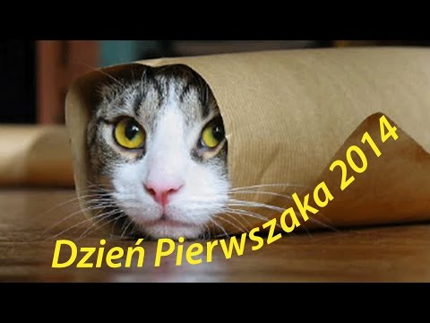 Dzień pierwszaka