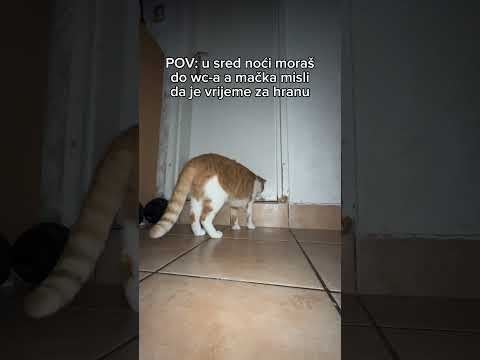 #shortvideo #shorts #short