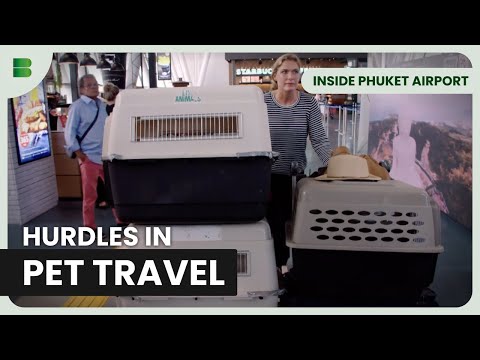 Pet Travel: Heartwarming Farewells | Inside Phuket Airport