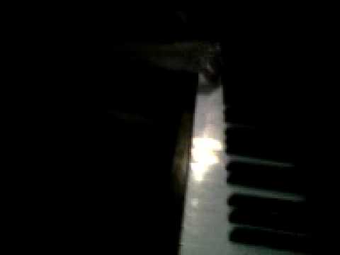 Blues sklep po koncertě Hi-Fi