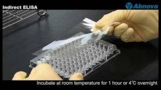 Indirect ELISA Indirect ELISA