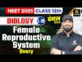 Class 12 Biology | Female Reproductive System - Ovary | NEET 2025 | L-19 | Zeeshan Sir