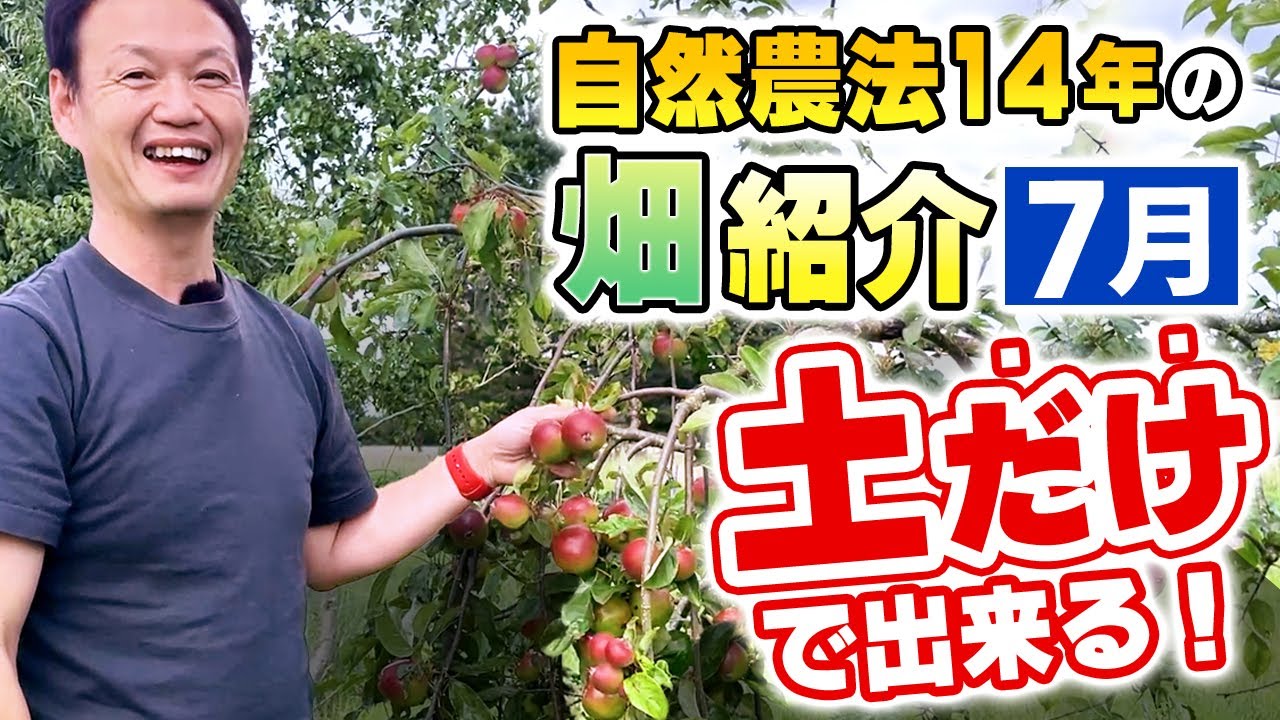 肥料も農薬も使わず14年。土の力を引き出す自然栽培の菜園ツアー