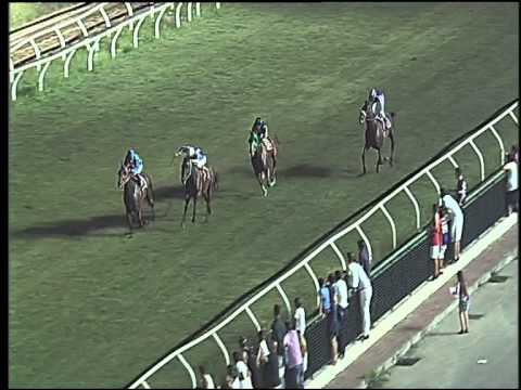 Galoppo 01/08/2015 - 6° corsa