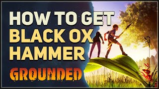 How to get Black Ox Hammer Grounded