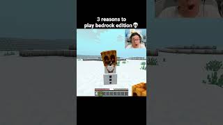 Minecraft Cute Moment