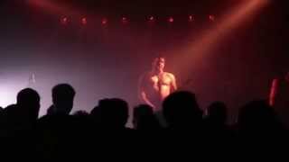 Anstalt - return of the rat (wipers cover) / live