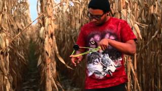 Joe Wilson Presents : The Field