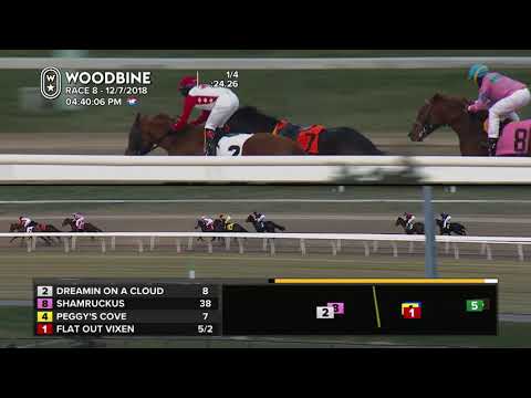 Woodbine, December 7, 2018 Race 8