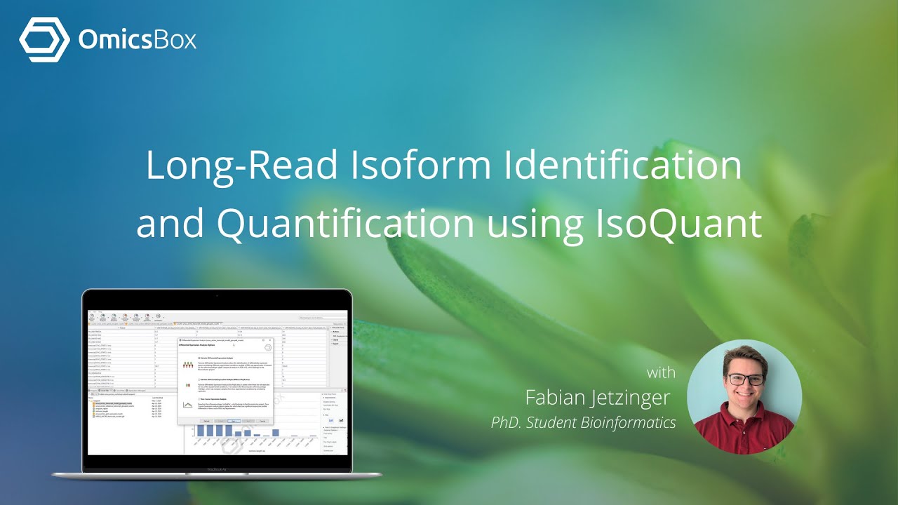 Long-Read Isoform Identification and Quantification using IsoQuant