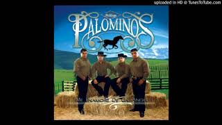 Los Palominos - Alguien Como Tu (2008)