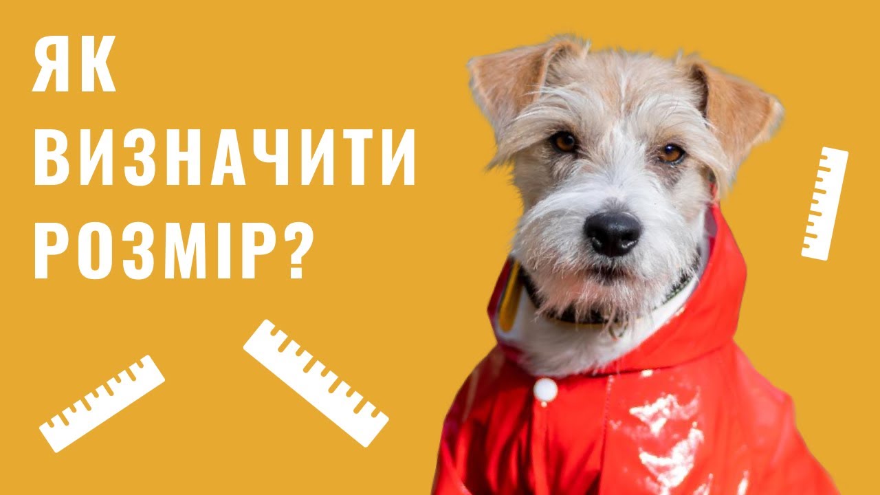 YouTube video preview