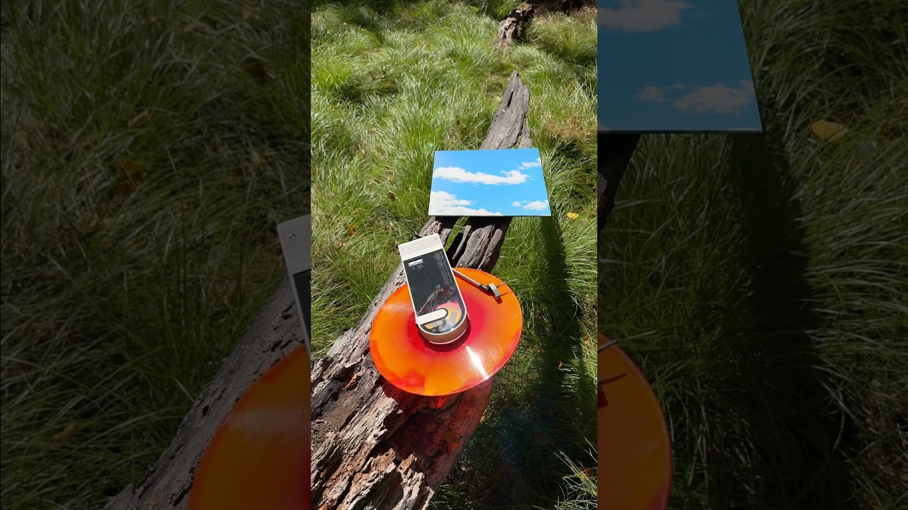 Netsky: Everybody Loves The Sunshine / Memory Lane in the wild. On the shop now ⛅️ #netsky #vinyl